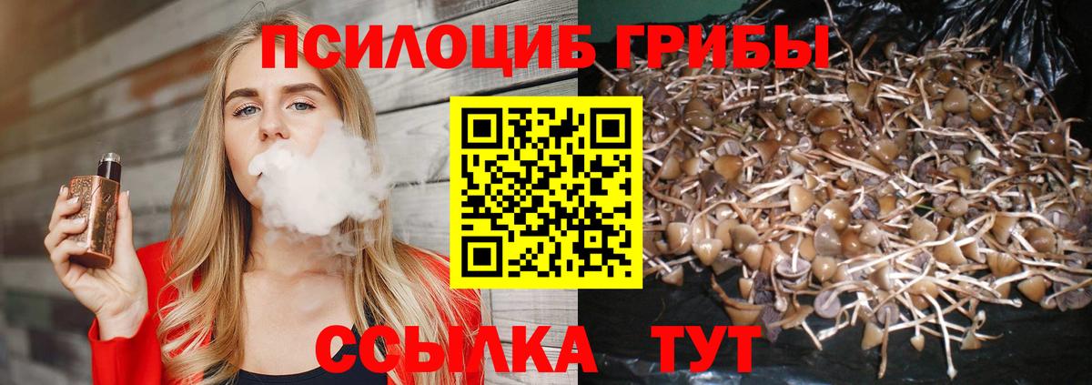 где купить наркоту  Галлюциногенные грибы MAGIC MUSHROOMS  Вход с VPN  Галлюциногенные грибы ЛСД  Медногорск 
